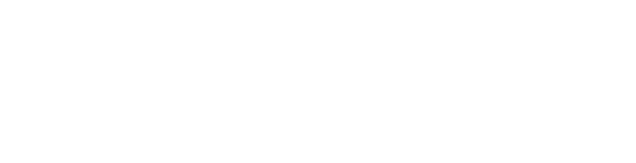 Leeson Engineering logo